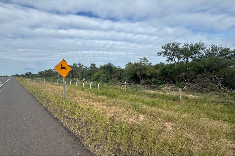 Terreno en venta en Teniente Primero Manuel Irala Fernández — foto 3