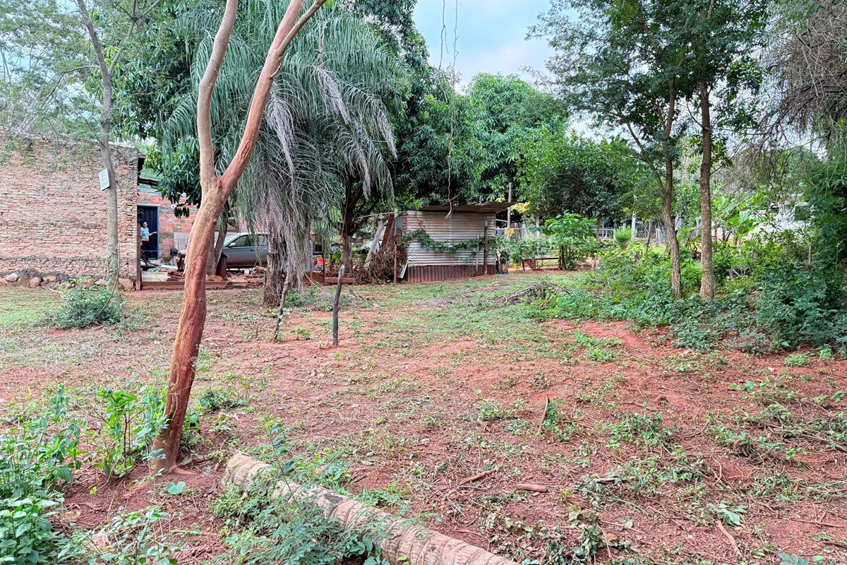 Vendo terreno en Limpio, Col. Juan de Salazar — foto 2