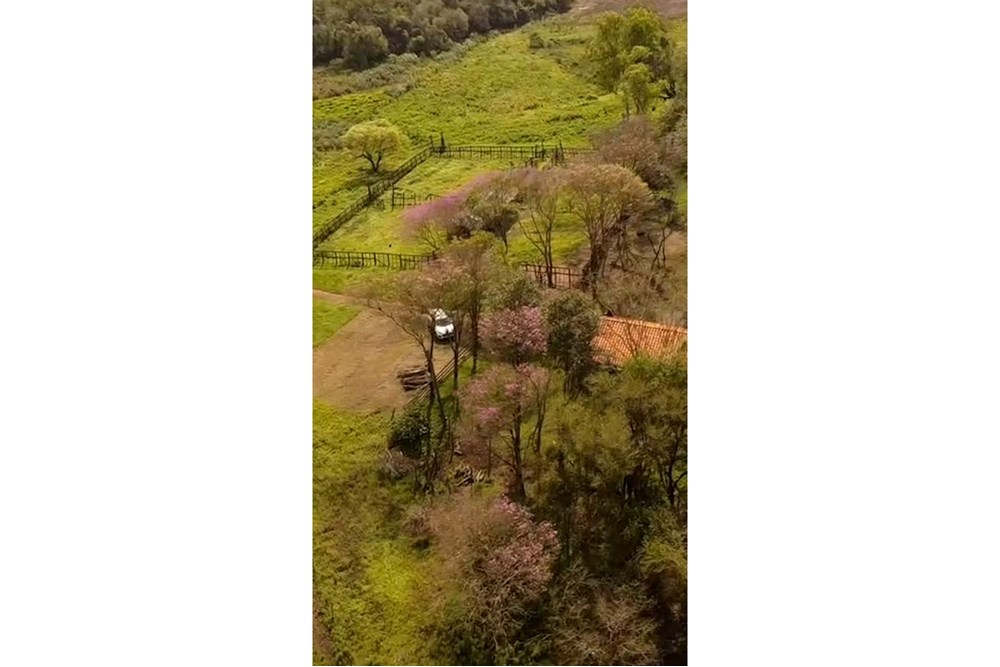 Campo en venta en San Pedro Del Paraná — foto 2