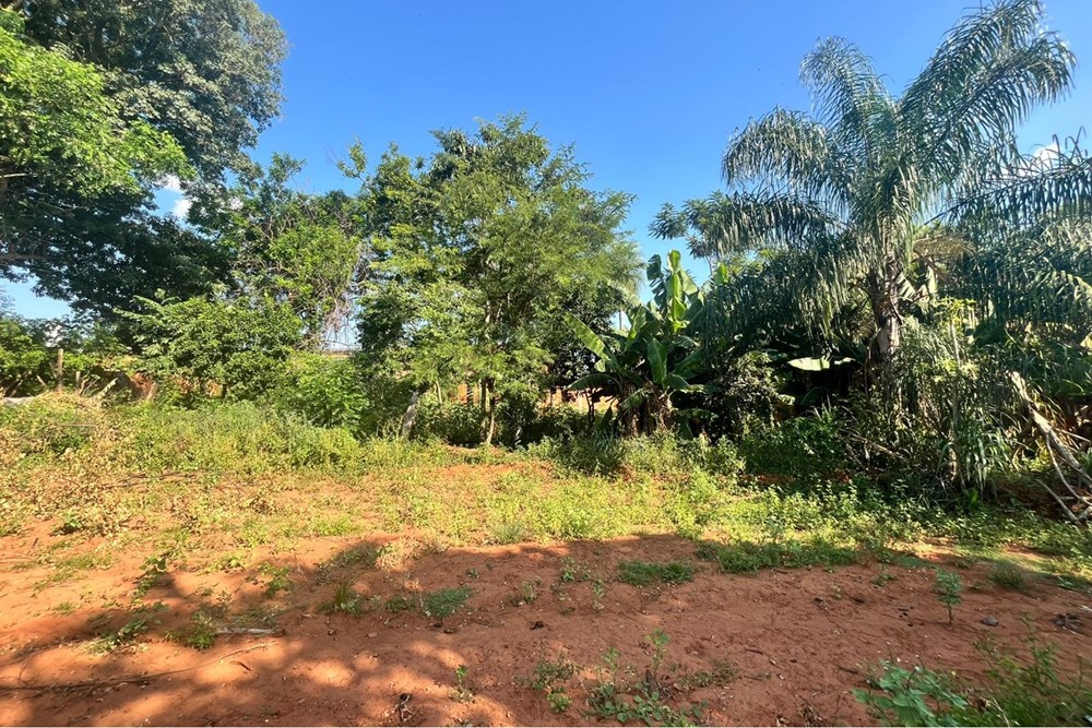 Terreno en venta en Limpio — foto 3