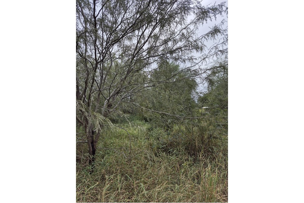 Terreno en venta en Loma Plata — foto 3