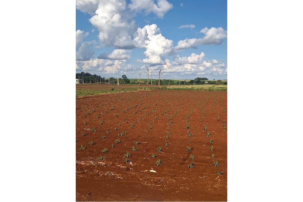 Terreno en venta en Santa Rosa Del Monday — foto 2