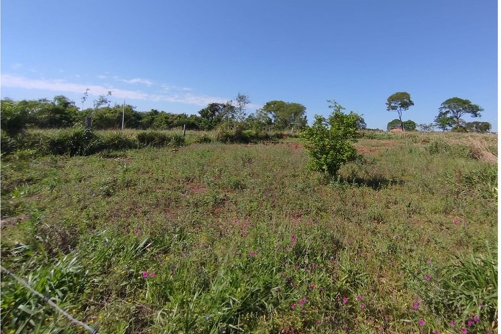 Terreno en venta en San Ignacio — foto 2