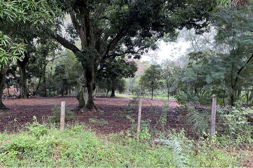 Terreno en venta en San Bernardino — foto 3