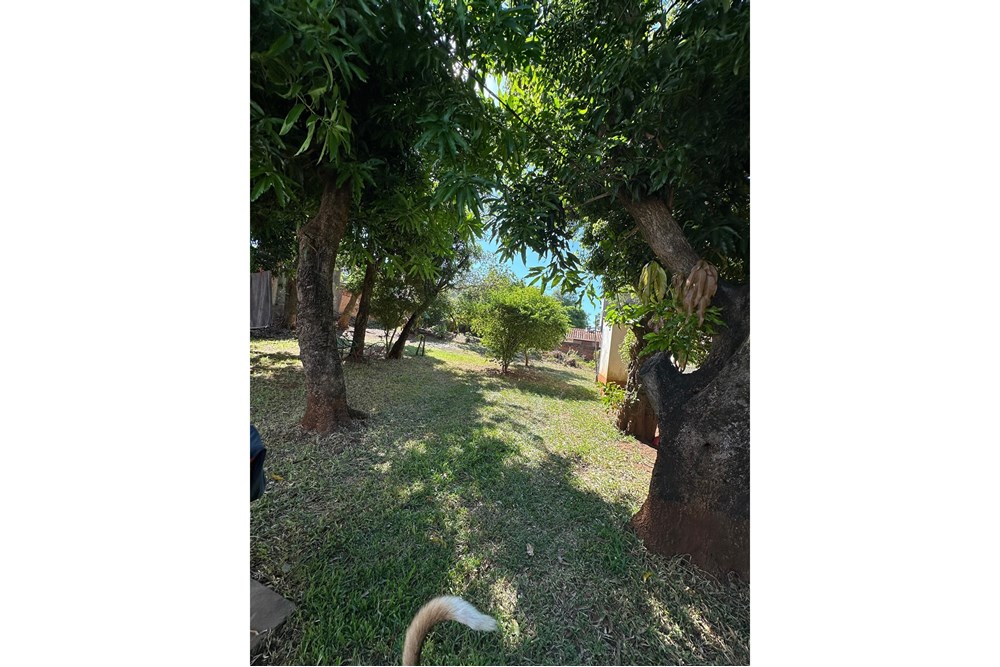 ¡Descubre tu hogar ideal en el corazón de Encarnación, a pasos del Paseo de Los Teros, y la Costanera de Encarnación! Es — foto 2