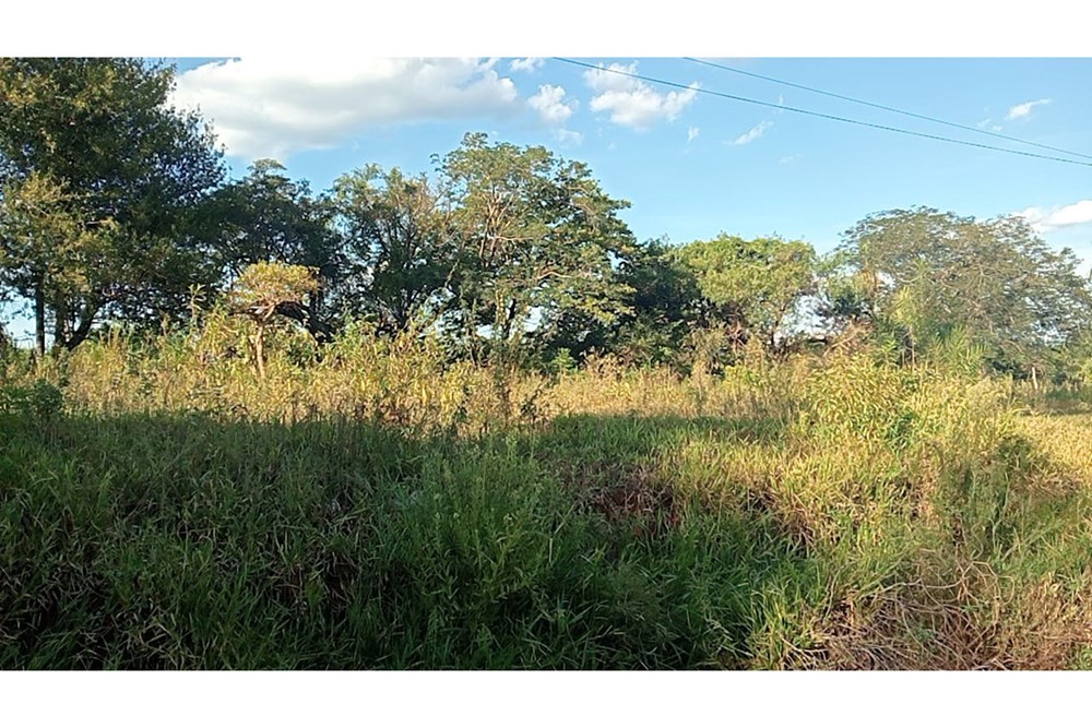 Terreno en toledo cañada KM 24 — foto 3