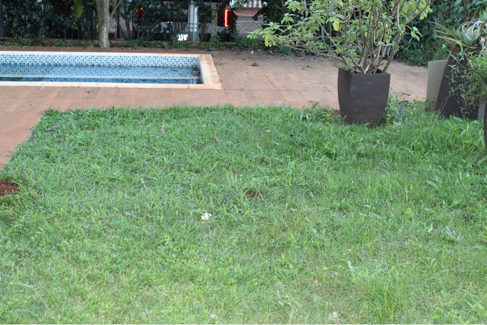 Casa en venta en Ciudad del Este — foto 3
