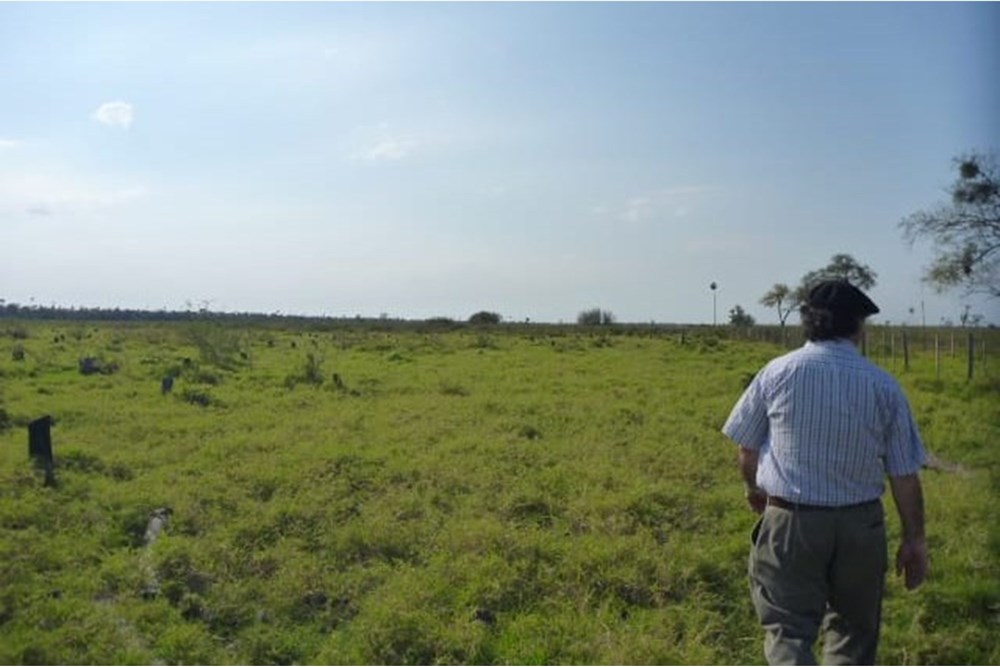 Campo en venta en General José María Bruguéz — foto 2