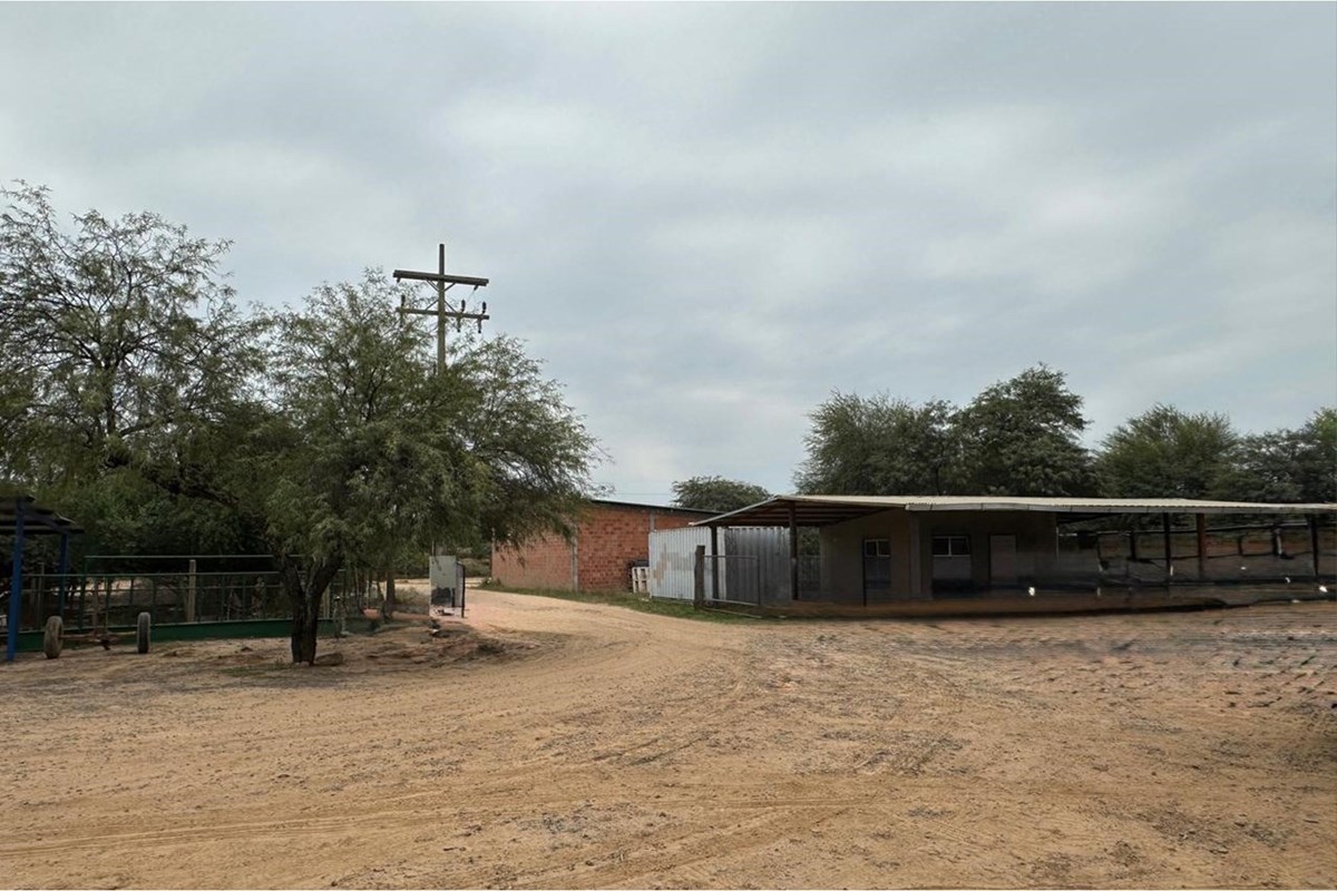 Terreno en venta en Filadelfia — foto 3