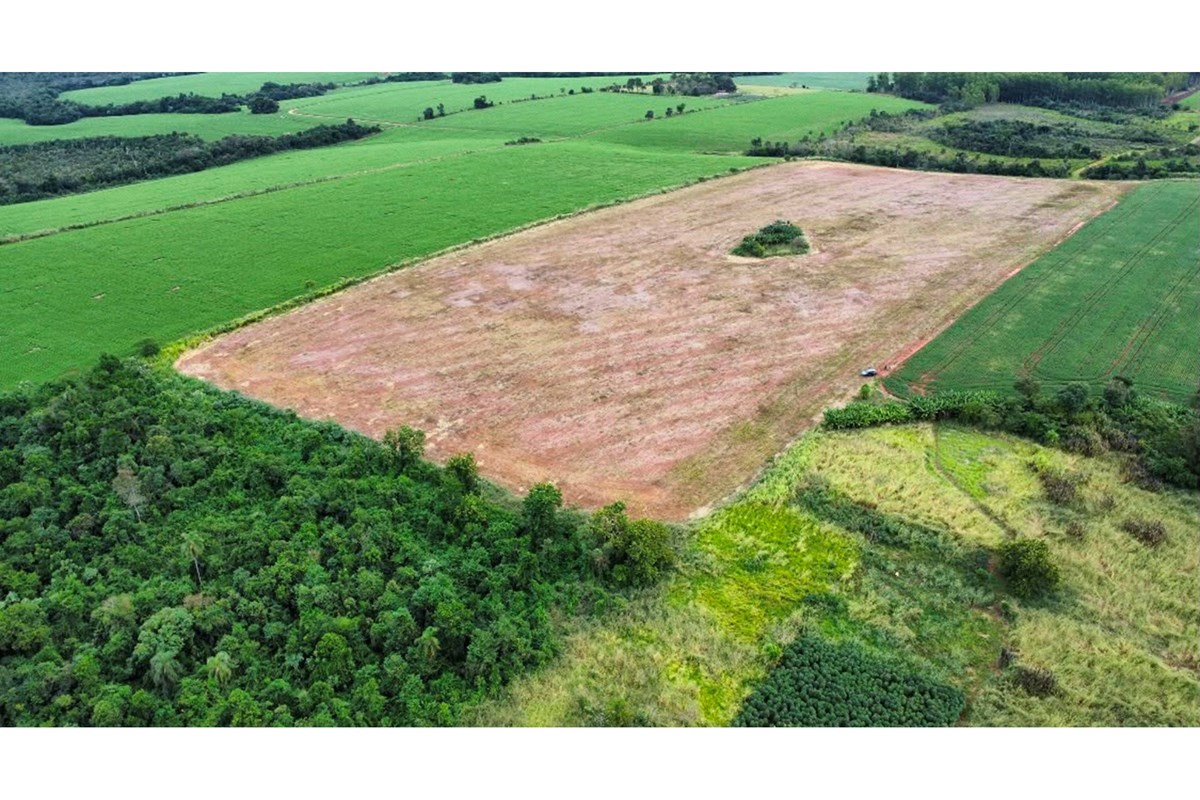 Campo en venta en Minga Guazú — foto 3