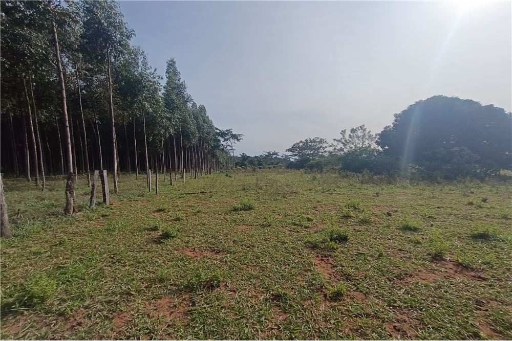 Campo en venta en San Estanislao — foto 3