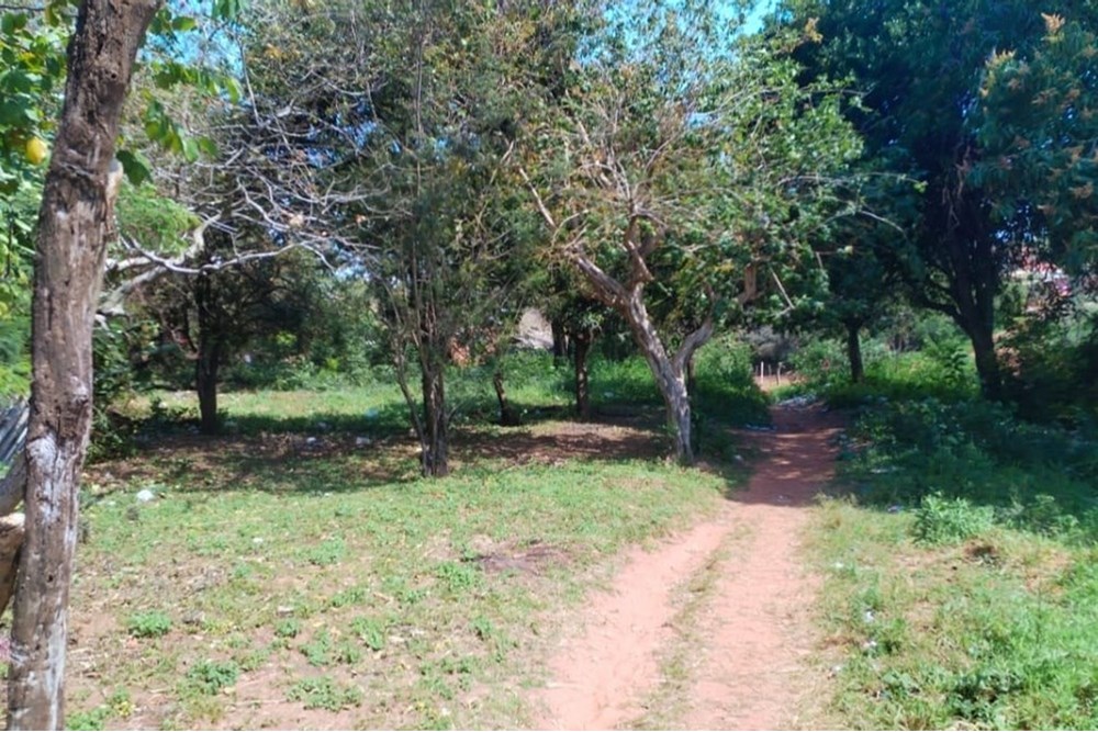 Terreno en venta en Capiatá — foto 2