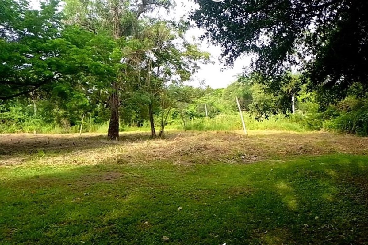 Terreno en venta en Limpio — foto 3