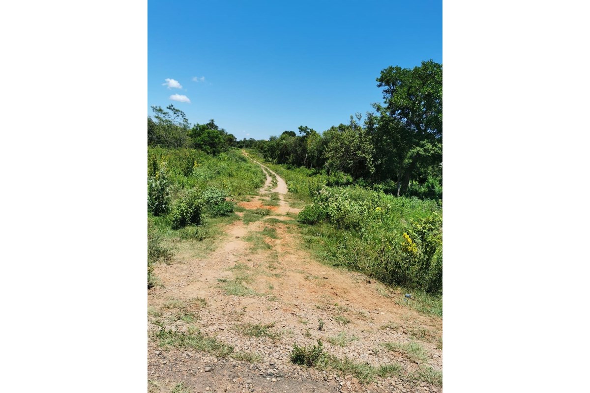 Terreno en venta en Belén — foto 3