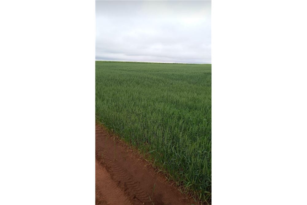 Propiedad en venta en Cambyretá — foto 2