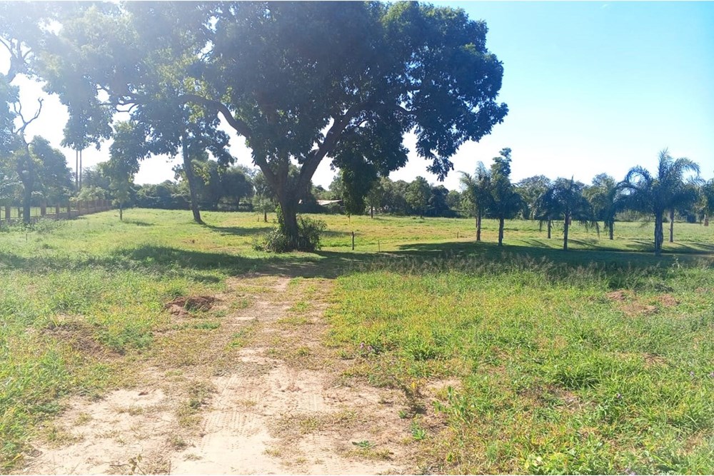 Terreno en venta en Moderno, Filadelfia — foto 3