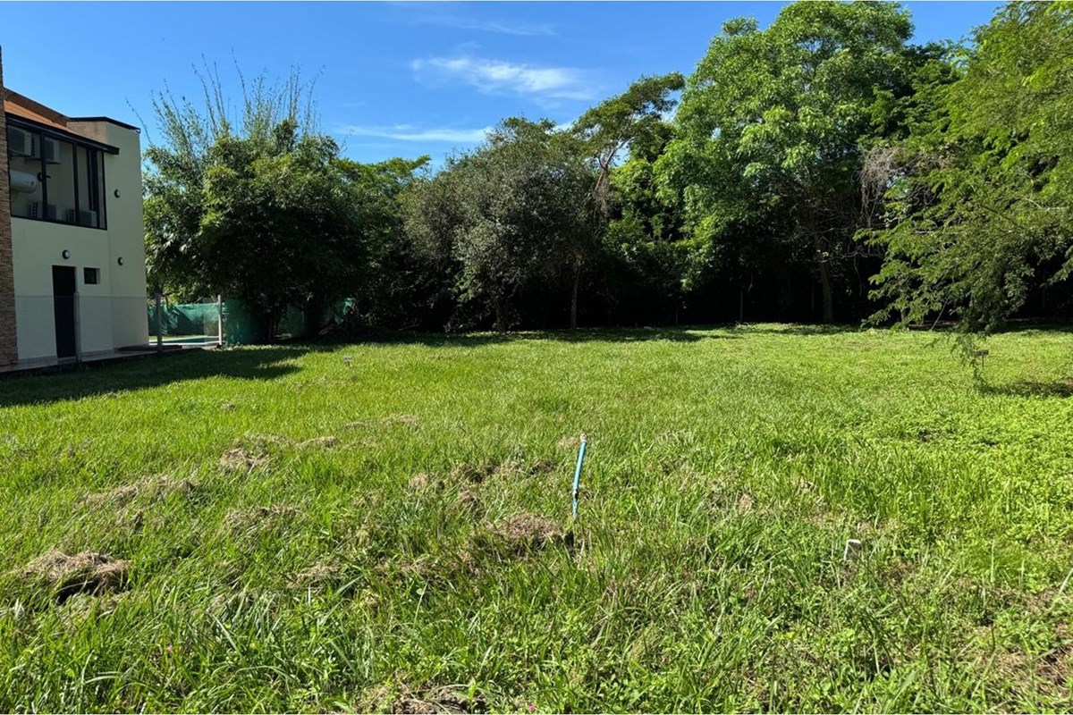 🌳 TERRENO EN VENTA YPACARAÍ — foto 3