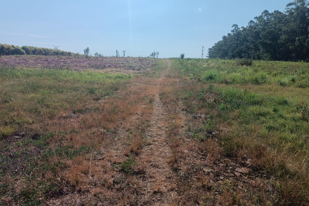 Propiedad en venta en Capitán Miranda — foto 3