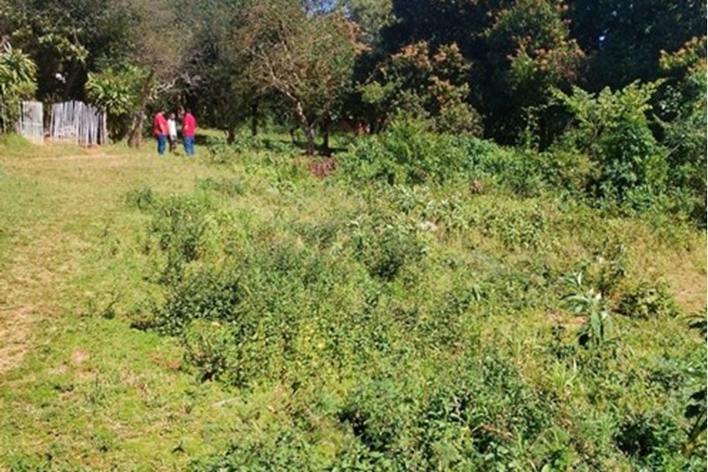 Terreno en venta en Capiatá — foto 3