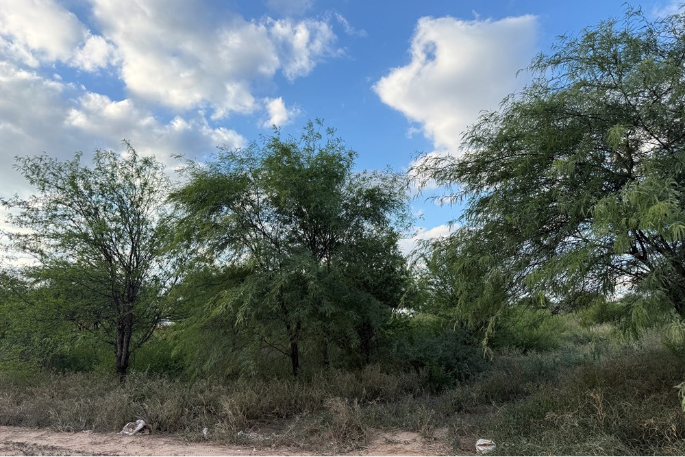 Terreno en venta en Filadelfia — foto 3