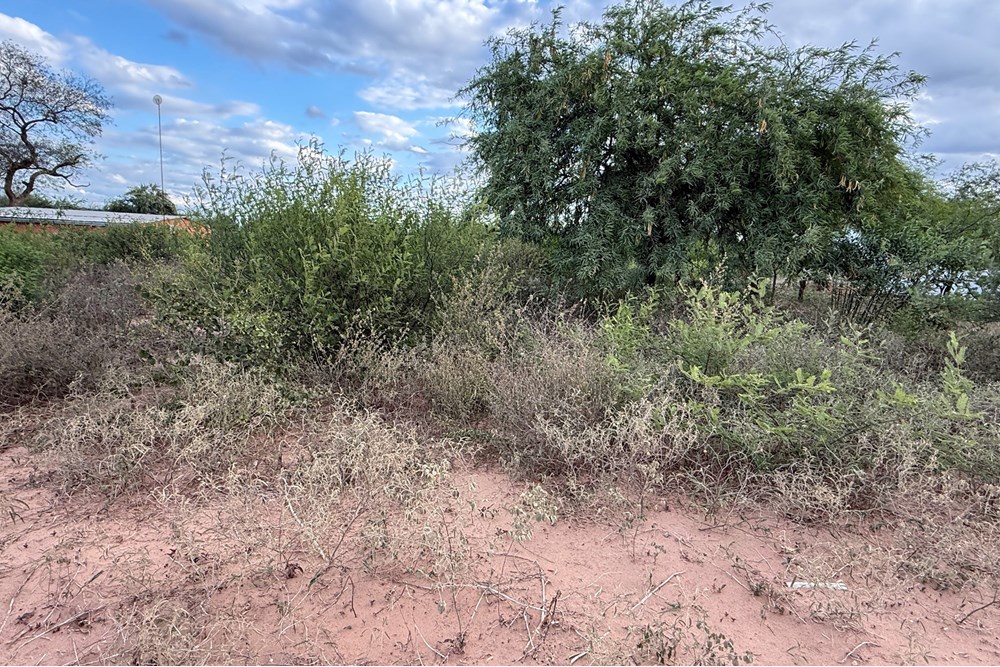 Terreno en venta en Filadelfia — foto 2