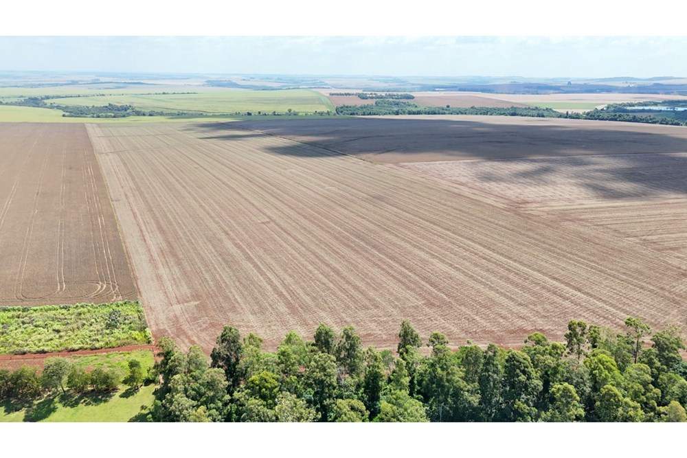Campo en venta en Santa Rita — foto 3