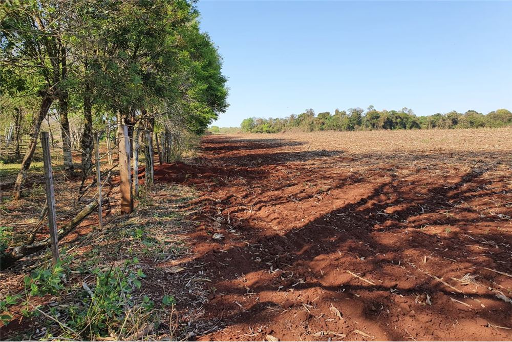 Amplio campo con todo lo que un buen inversionista busca, renta asegurada inmediata.- — foto 2