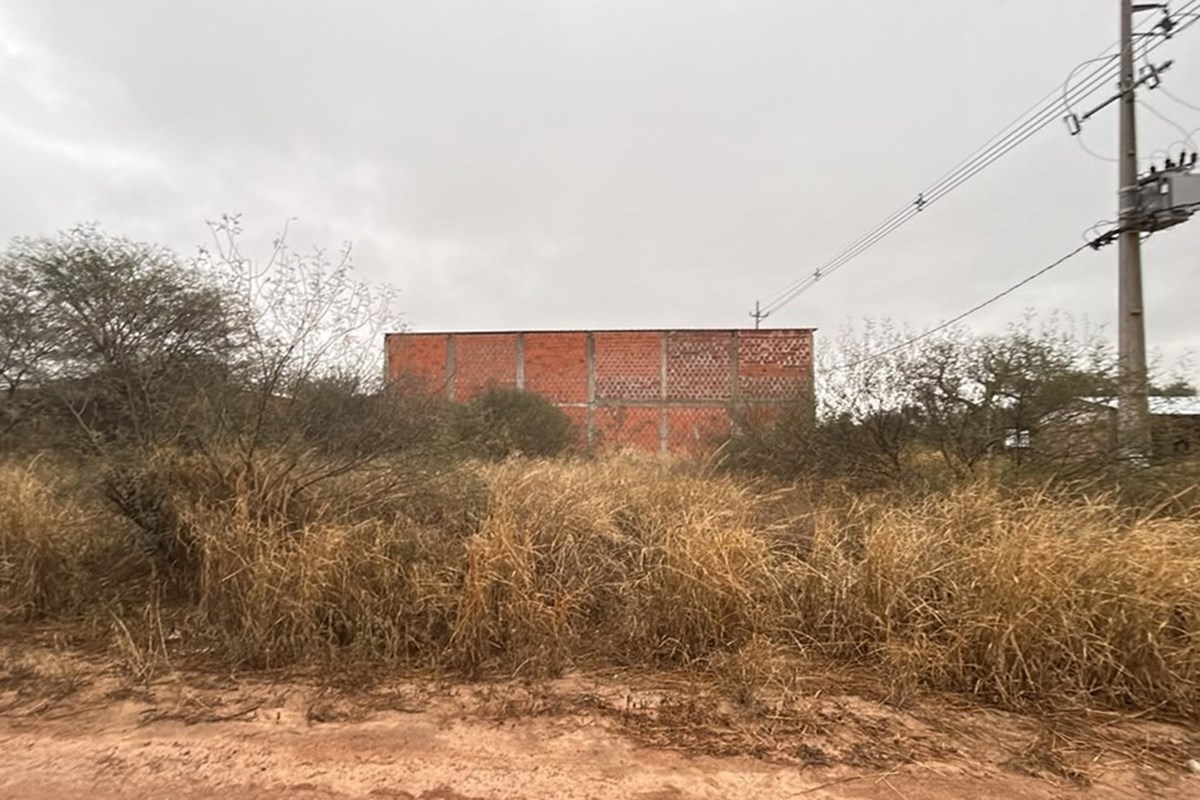 Terreno en venta en Filadelfia — foto 2