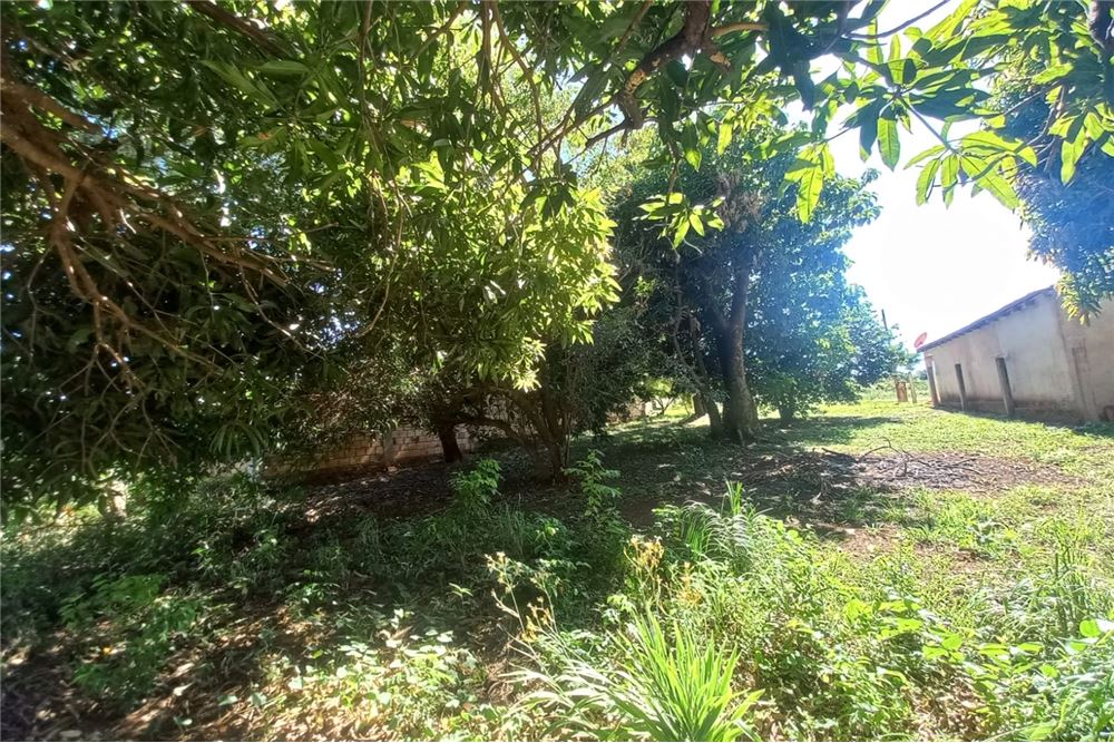 Terreno en venta en San Juan Del Paraná — foto 2