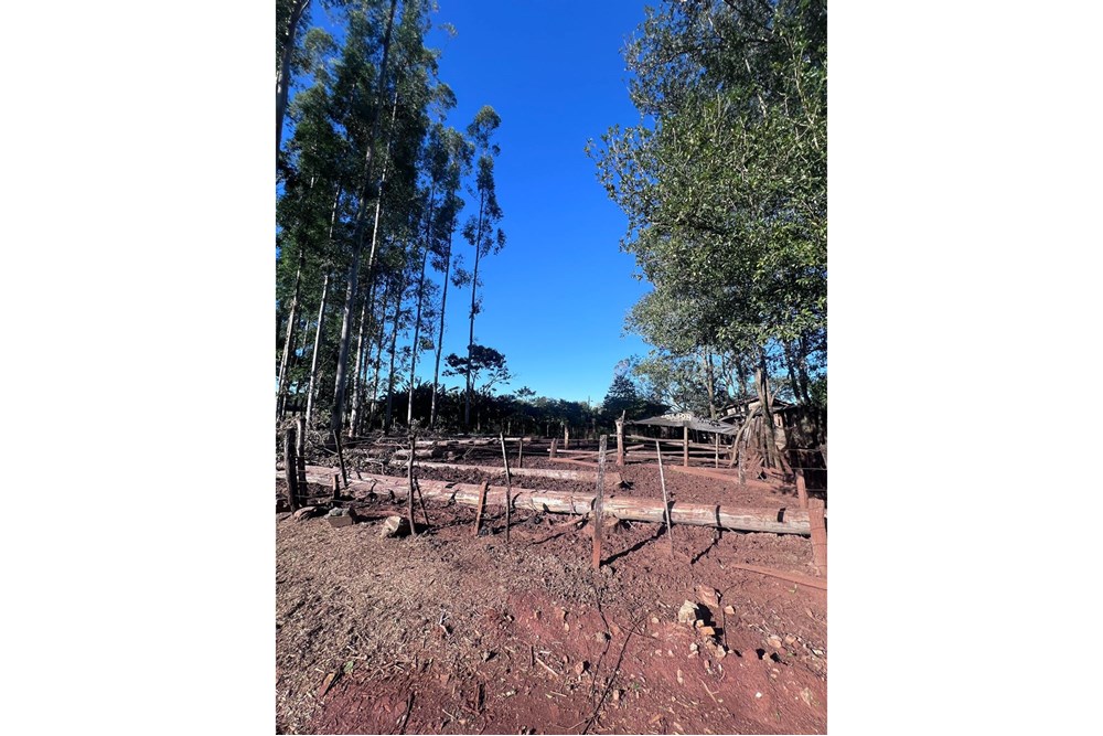 Terreno en venta en Minga Guazú — foto 3