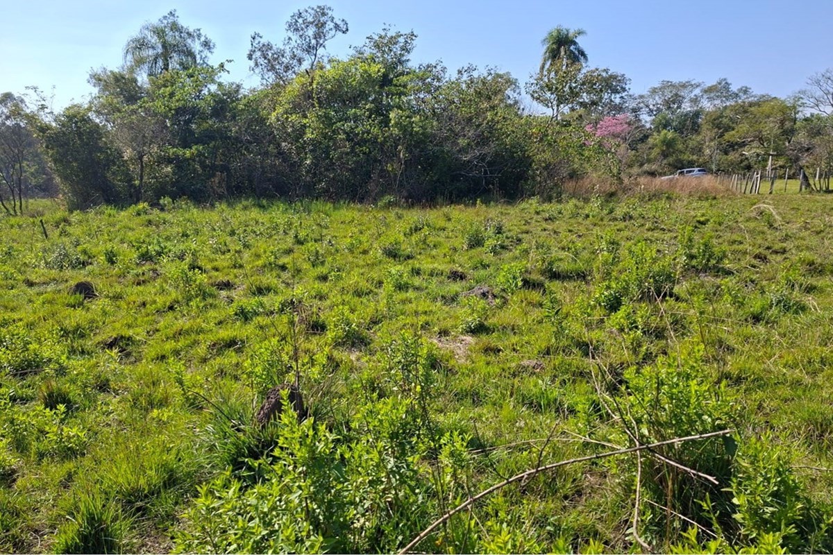 ¡Excelente oportunidad en el corazón de Caacupé! Presentamos un amplio terreno de 23.956 metros cuadrados, ideal para de — foto 2