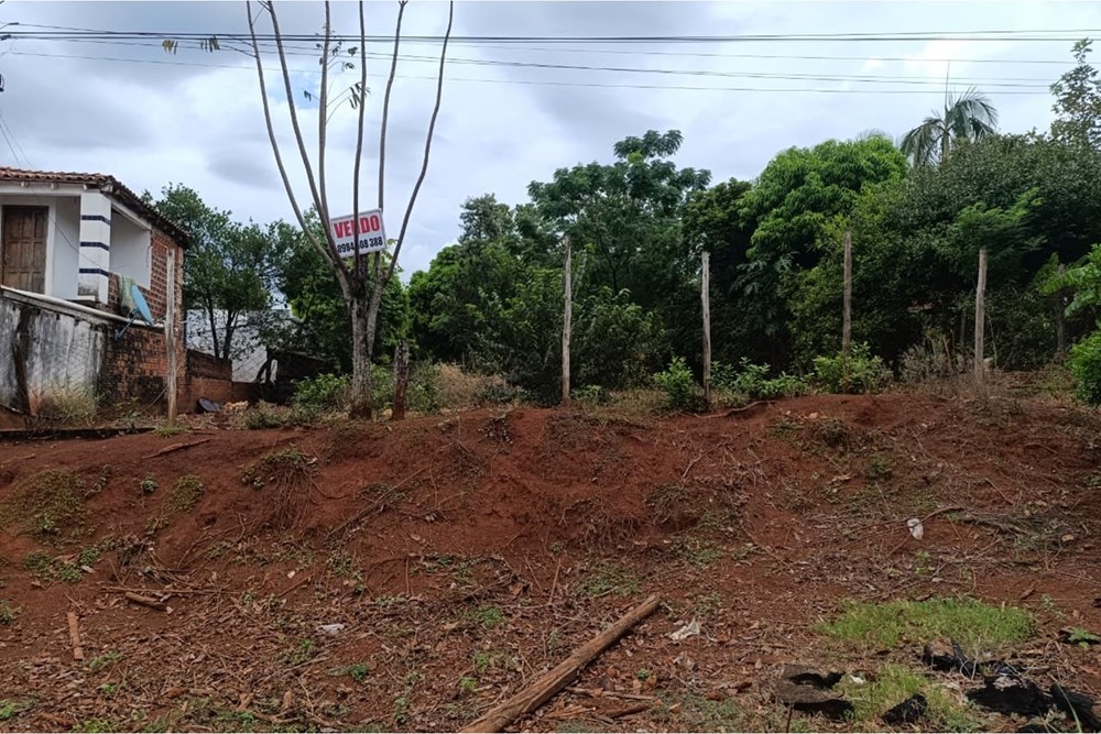 Terreno en venta en San Juan Del Paraná — foto 2