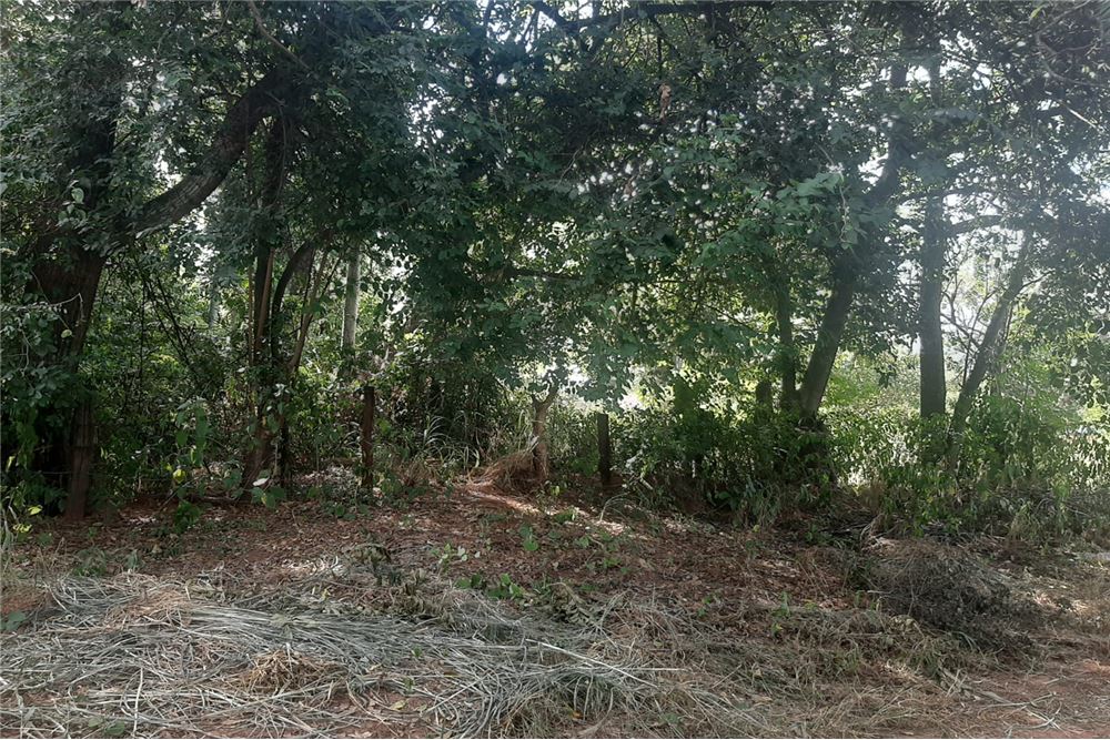 Terreno en venta en Isla Aveiro, Limpio — foto 3