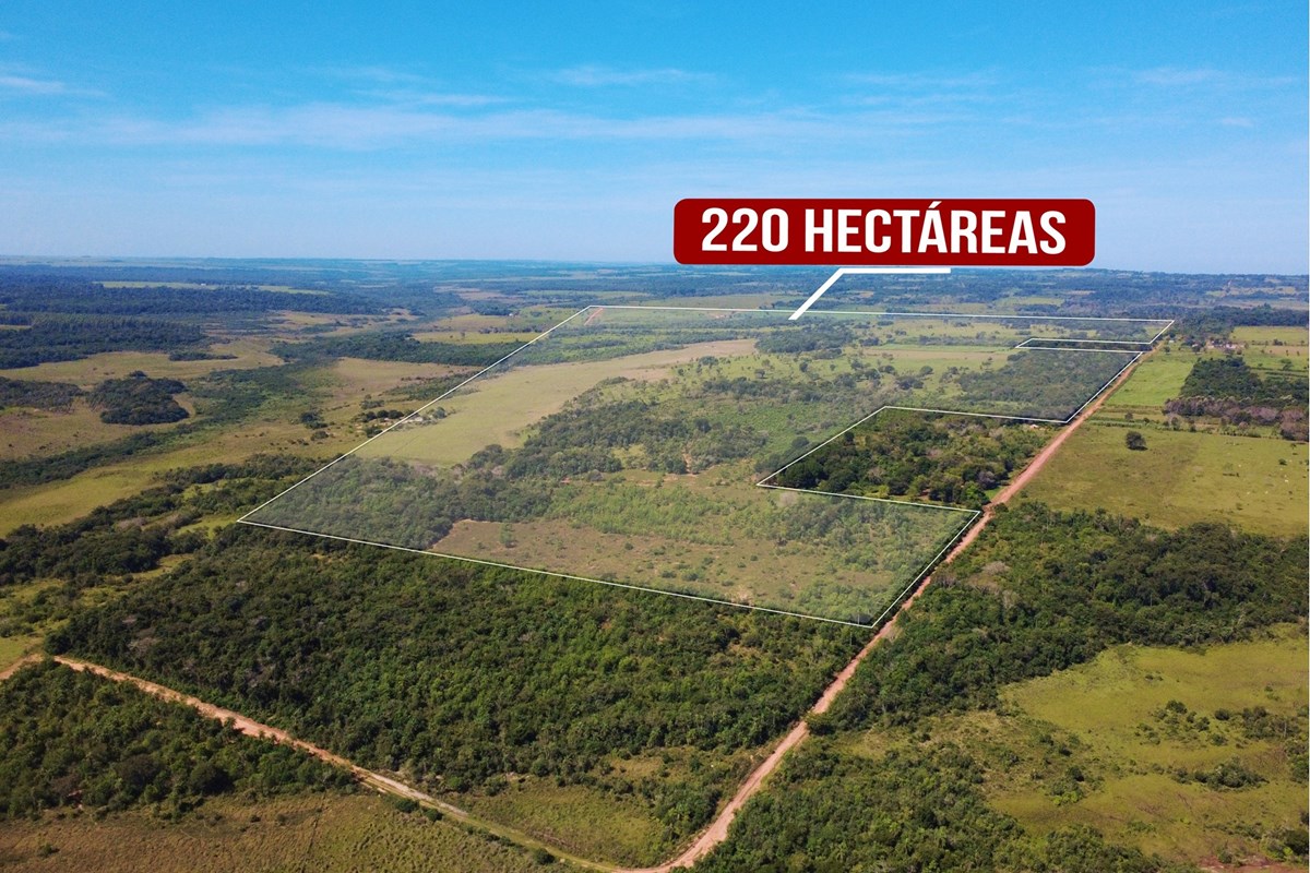 Propiedad en venta en San Estanislao — foto 2