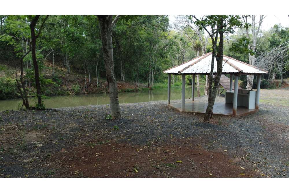 Propiedad en venta en Colonia Ara Poti, Los Cedrales — foto 3