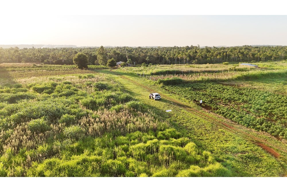 Terreno en venta en Minga Guazú — foto 2