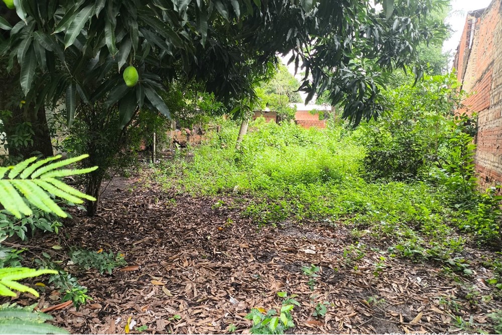 Terreno en venta en Centro, Limpio — foto 2