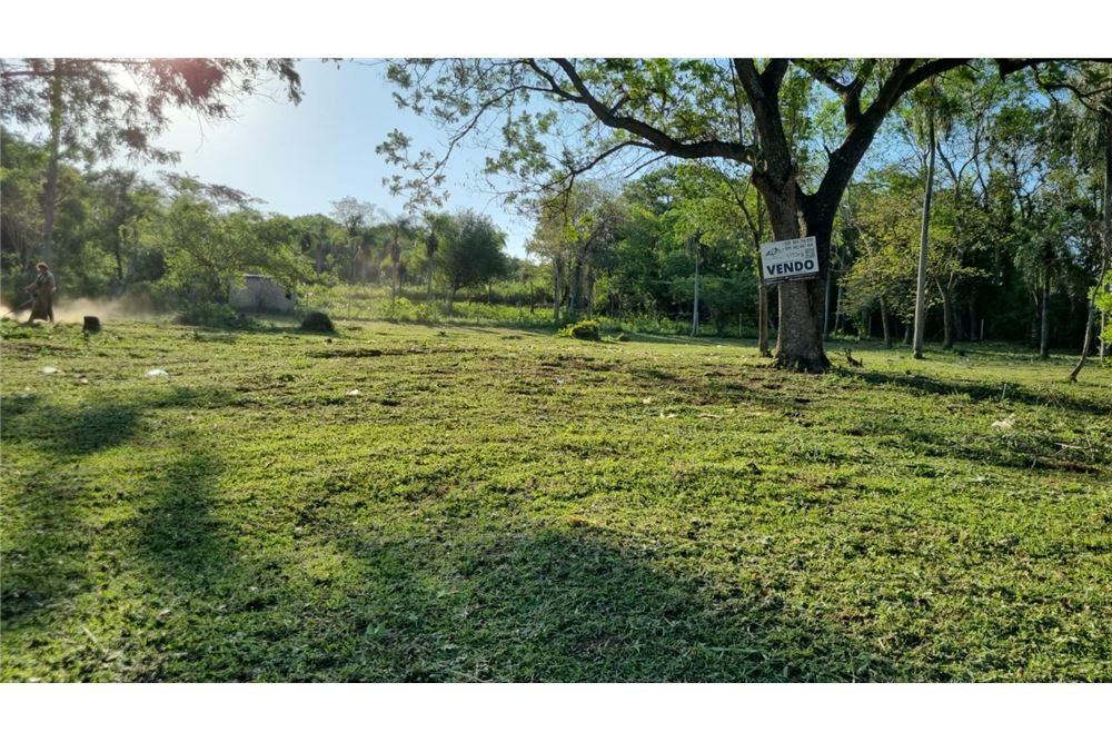🌳 Venta de Terreno en Limpio - Oportunidad Única para tu Proyecto 🏡 — foto 2
