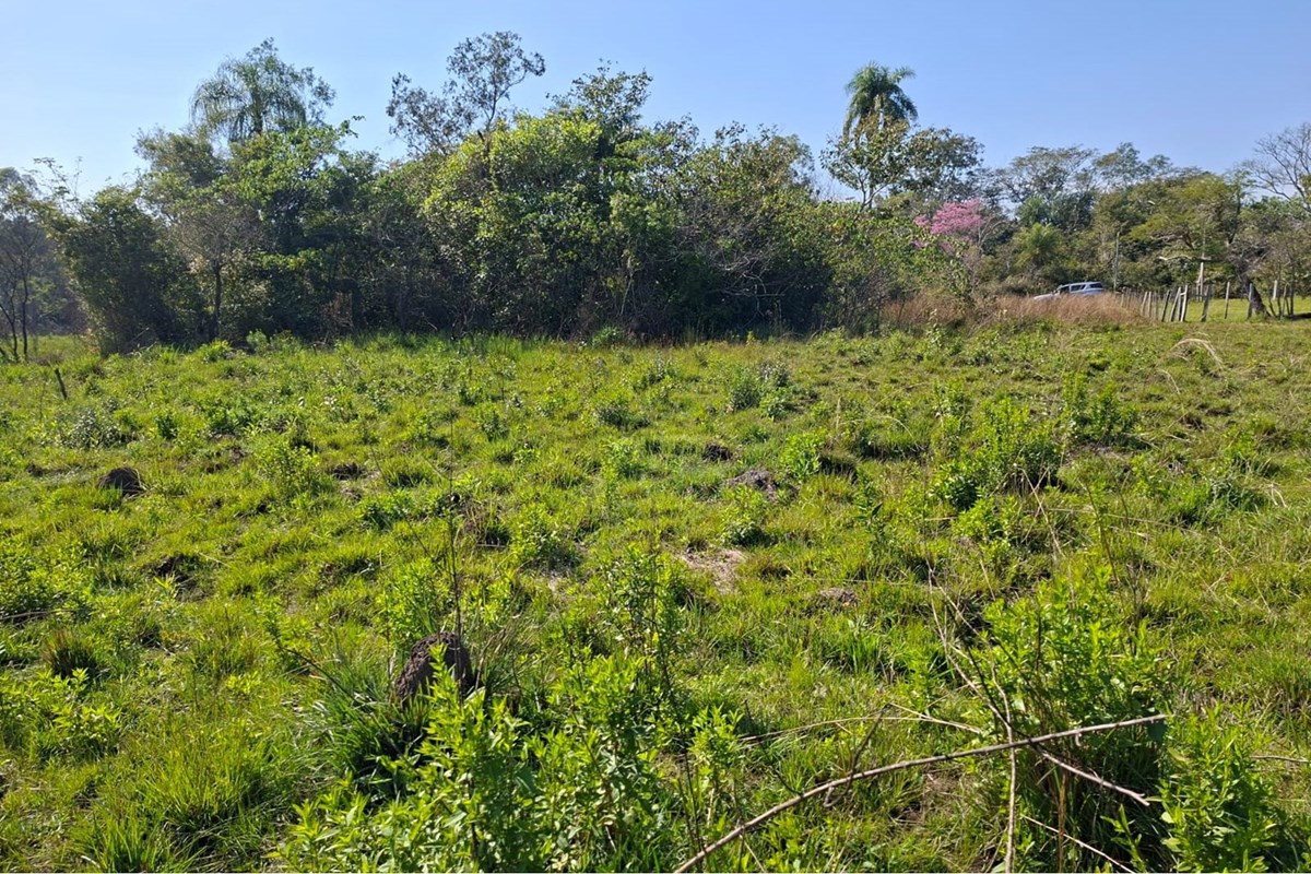 ¡Excelente oportunidad en el corazón de Caacupé! Presentamos un amplio terreno de 23.956 metros cuadrados, ideal para de — foto 3