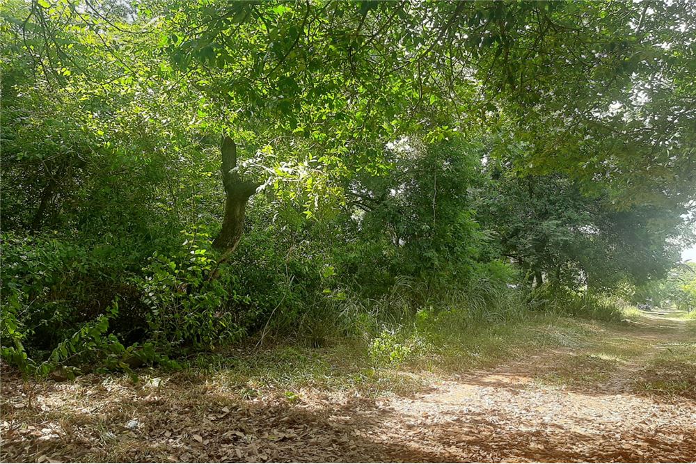 Terreno en venta en Isla Aveiro, Limpio — foto 2