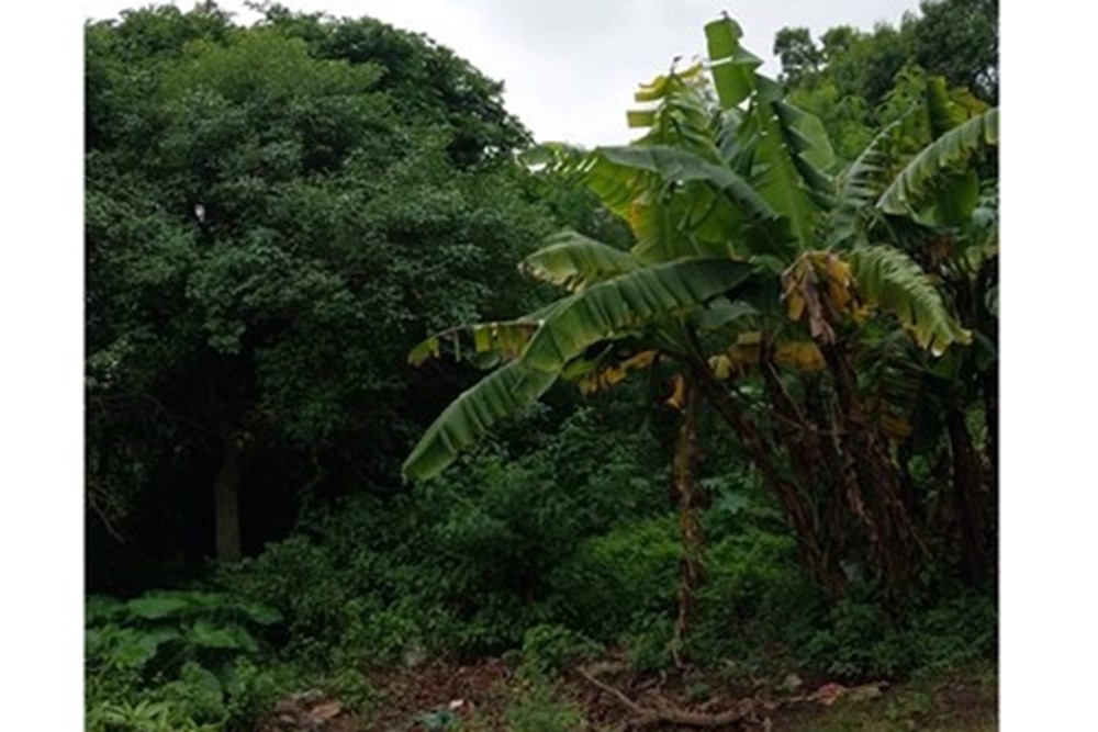 Terreno en venta en Isla Valle, Areguá — foto 3
