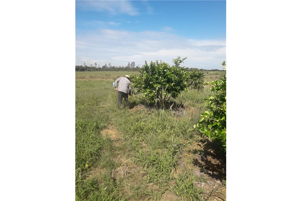 Campo en venta en San Juan Nepomuceno — foto 3
