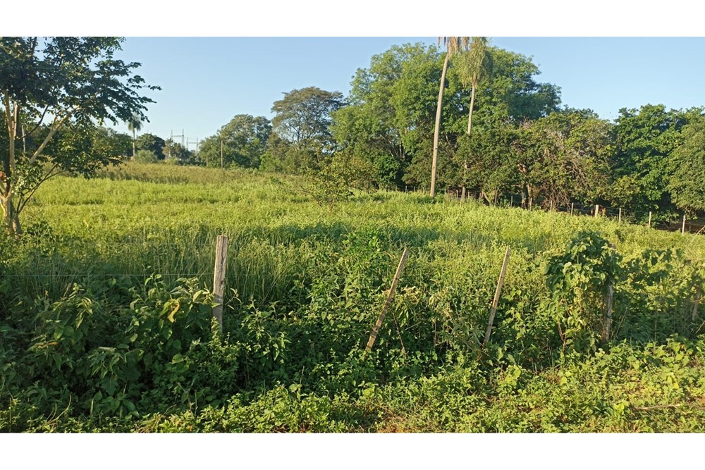 Terreno en venta en Belén — foto 3