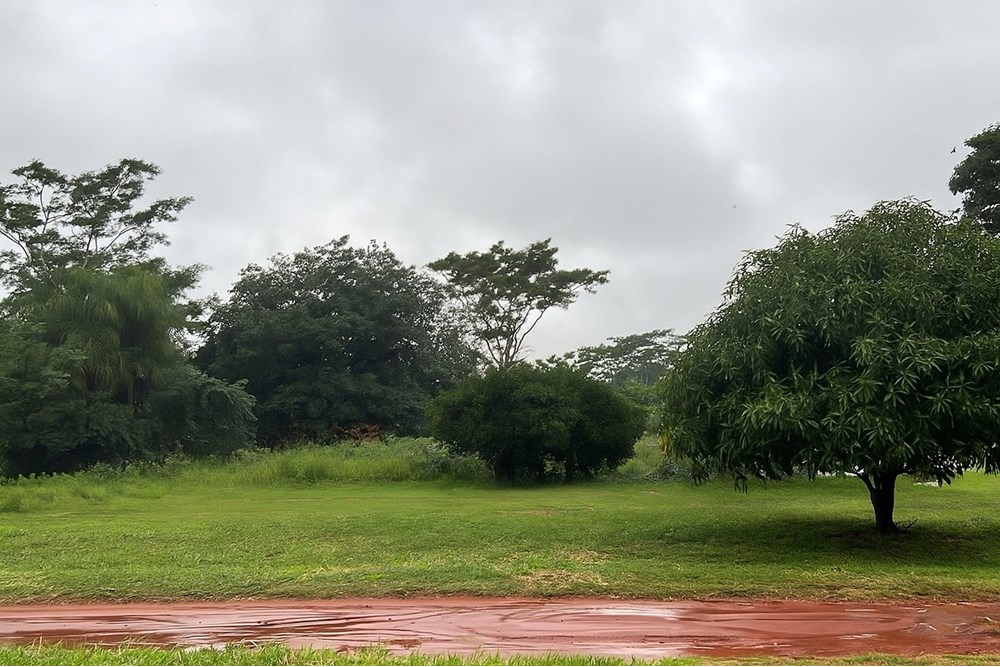 Terreno en venta en Colonia Thompson, Ypané — foto 2