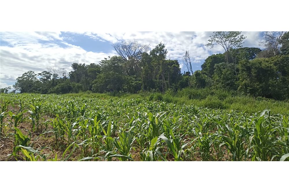 Terreno en venta en Mbuyapey — foto 3