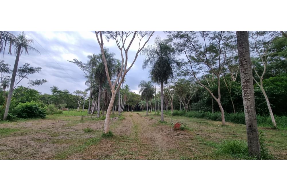 VENDO TERRENO EN YAGUARON KM 45 — foto 2