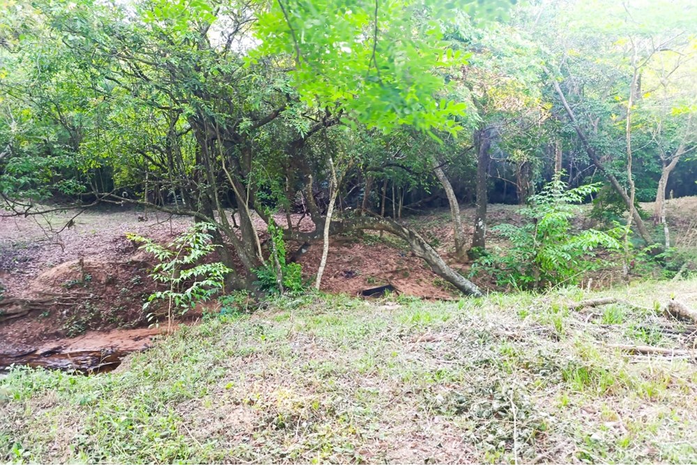 Terreno en venta en San Miguel, Ypané — foto 3