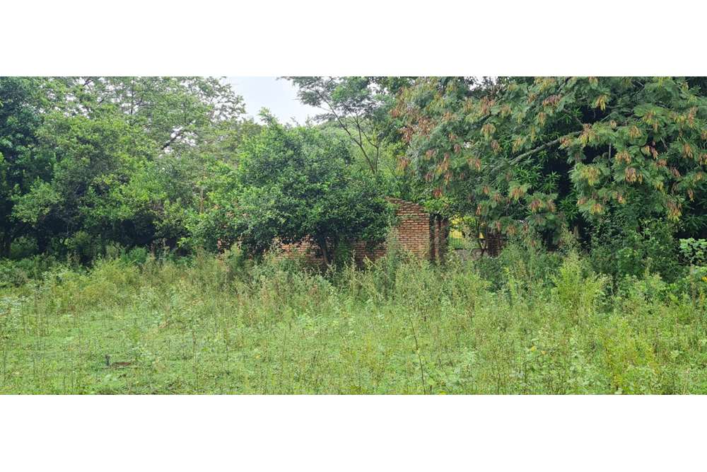 Terreno en venta en Yaguarón — foto 2