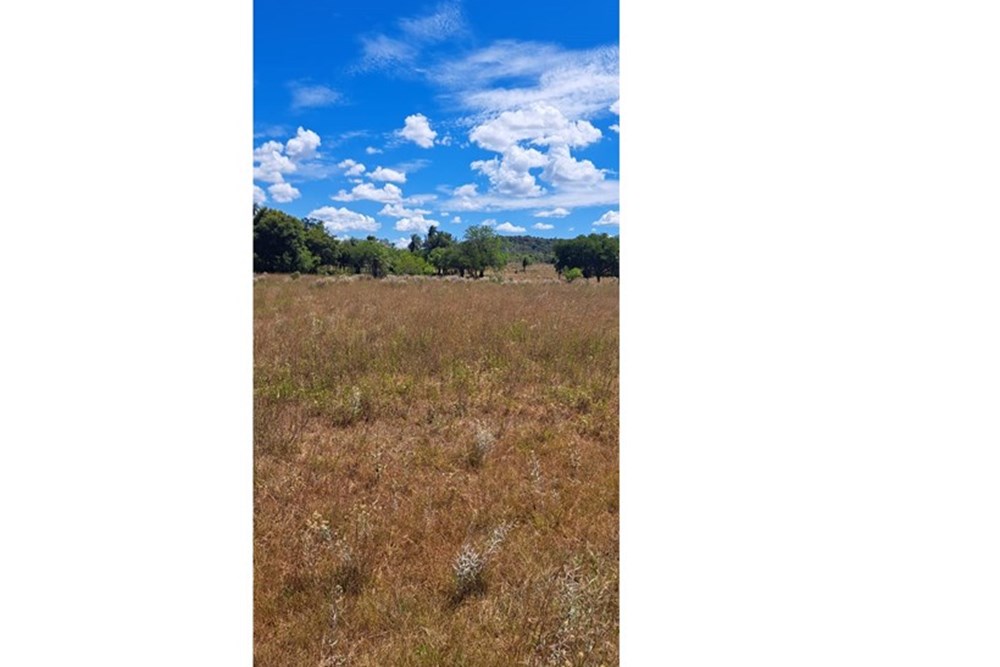 Terreno en venta en Pirayú — foto 2