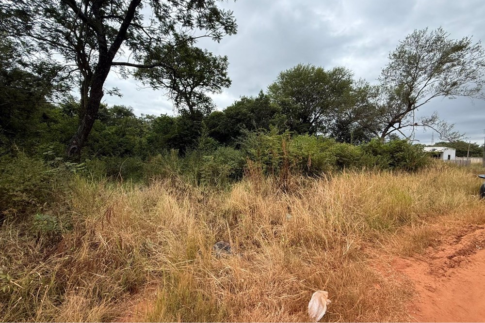 Terreno en venta en Coronel Oviedo — foto 3
